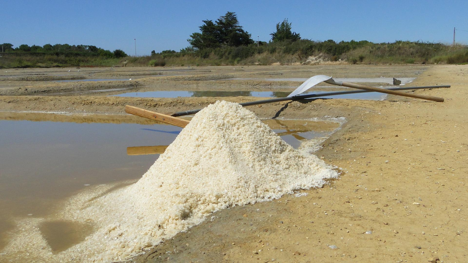 Kulinarisches der l'île d'Oléron